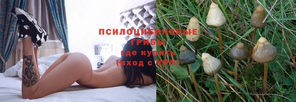 СК Заволжье
