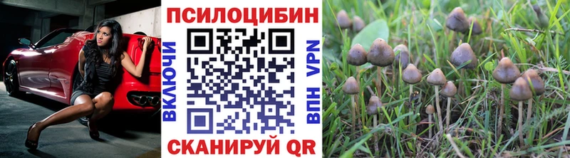 Псилоцибиновые грибы ЛСД где купить Исилькуль